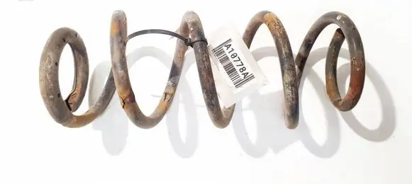 Rear coil spring