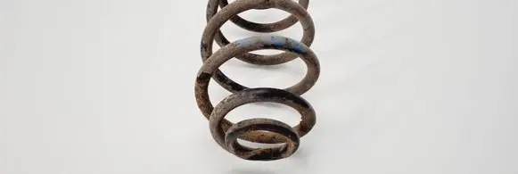 Volkswagen PASSAT B5 Rear coil spring