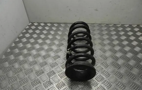 Ford Edge II Front coil spring F2GC5560AND
