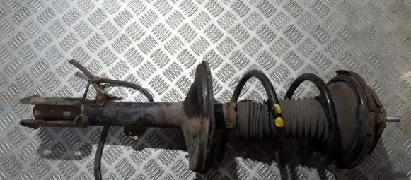 Toyota RAV 4 (XA20) Front shock absorber/damper