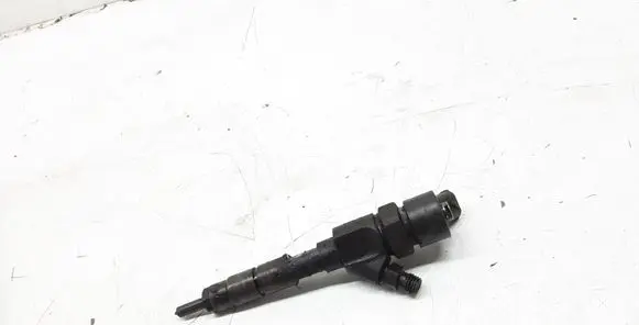 Renault Megane II Fuel injector 8200100272 0445110110B