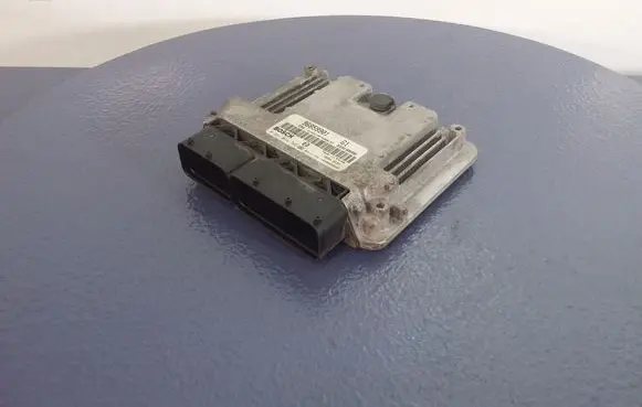 Engine control unit/module ECU