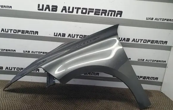 Citroen C4 II Picasso Fender