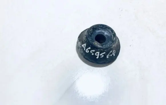 Coil spring mount