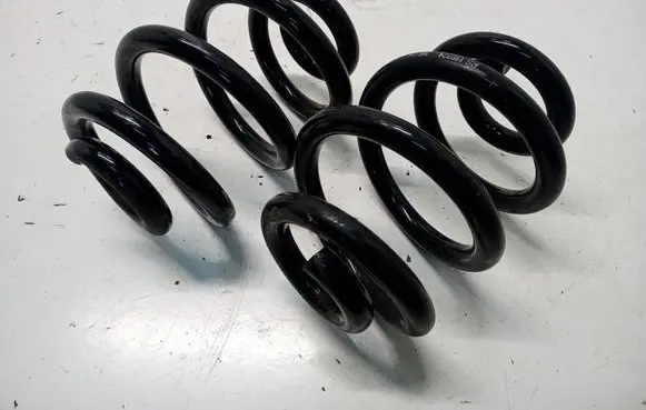 Rear coil spring
