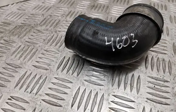 Volkswagen PASSAT B5.5 Intercooler hose/pipe 3B0145834P