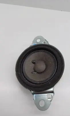 Panel speaker