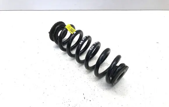 Rear coil spring