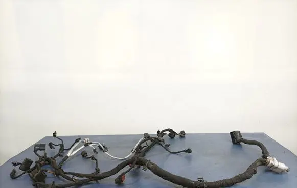 Skoda Octavia Mk3 (5E) Other wiring loom 05E972627A