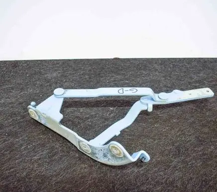 Fiat 500 Tailgate/trunk/boot hinge D325