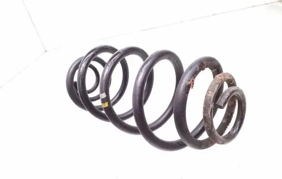 Rear coil spring