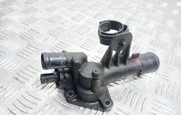 Thermostat/thermostat housing
