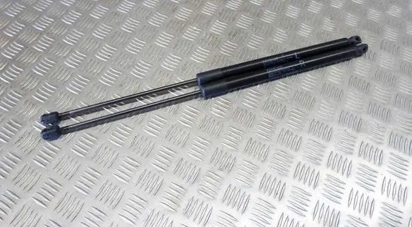Tailgate/trunk strut/damper