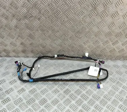 Tesla Model Y Other wiring loom 161669103D