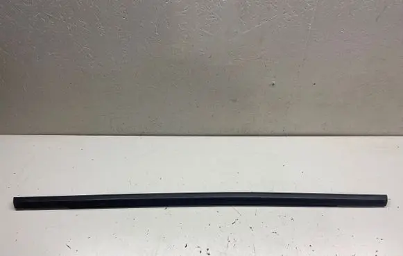 Rear door glass trim molding