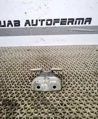 KIA Ceed Front door lower hinge 794103K000
