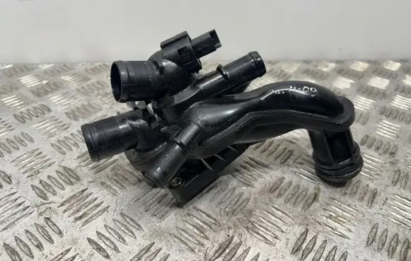 Thermostat/thermostat housing