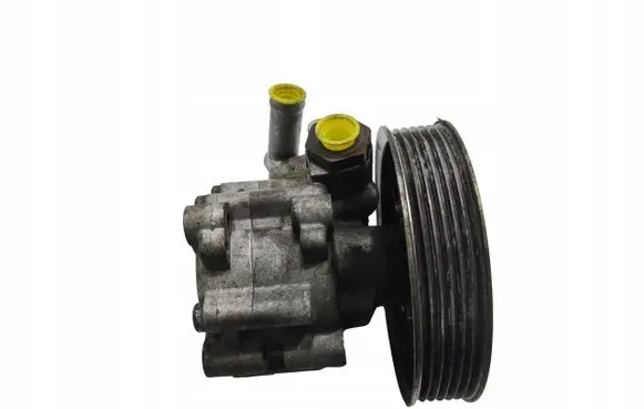 Fiat Ducato Power steering pump