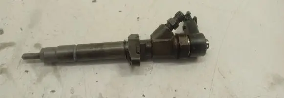 Renault Espace - Grand espace IV Fuel injector 0445110084