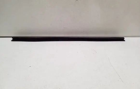 Rear door glass trim molding