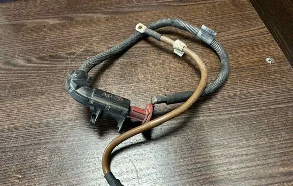 Other wiring loom