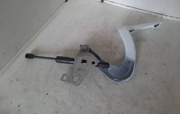 Tesla Model Y Engine bonnet/hood hinges 164110