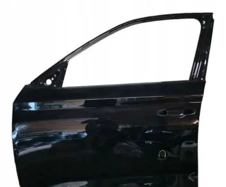Skoda Scala Front door
