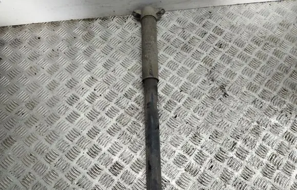 Ford Focus Rear shock absorber/damper