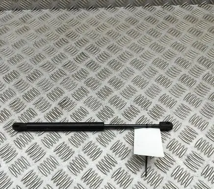 Tesla Model X Front bonnet/hood damper/strut 103387900B