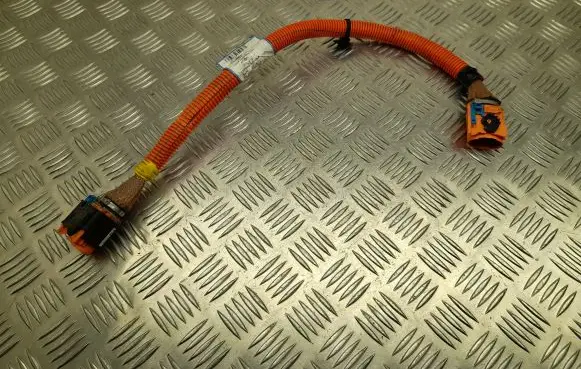 Renault Zoe Other wiring loom 240419193R