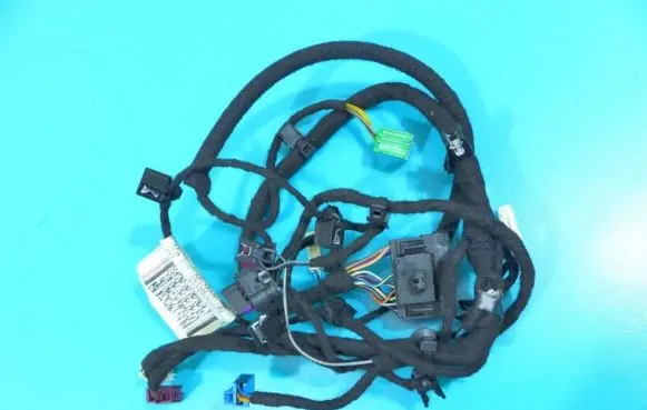 Front door wiring loom