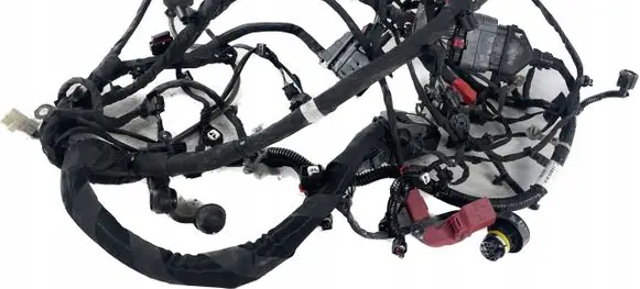 Dodge Charger Wiring harness 68407700AB