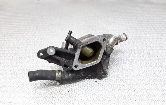 Thermostat/thermostat housing