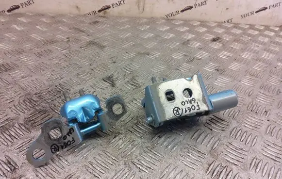 Renault Zoe Rear door hinge set 