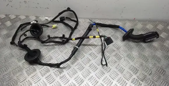 Front door wiring loom