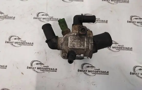 Fiat Doblo Thermostat housing 55224022