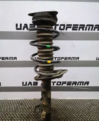 Nissan Qashqai Front shock absorber with coil spring 543034EA3A