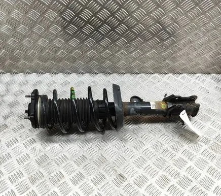 Fiat Doblo Front shock absorber/damper 824903008425 51880837