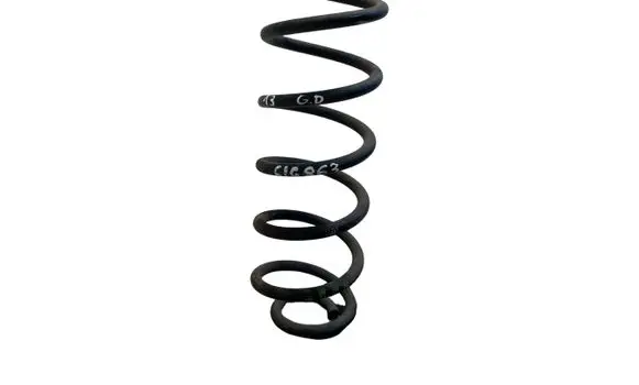 Rear coil spring