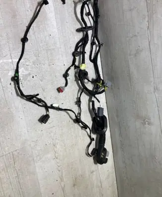 Front door wiring loom