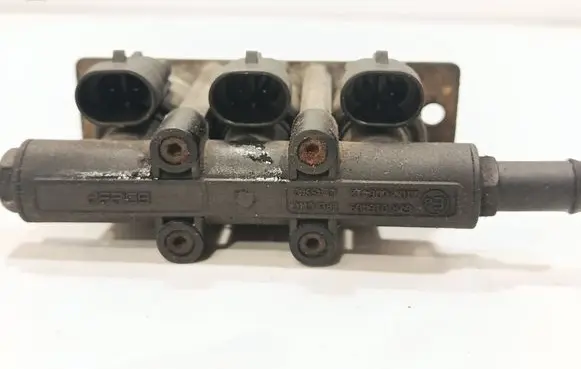 Mercedes-Benz S W220 LP gas injector 67R016409 110R006410