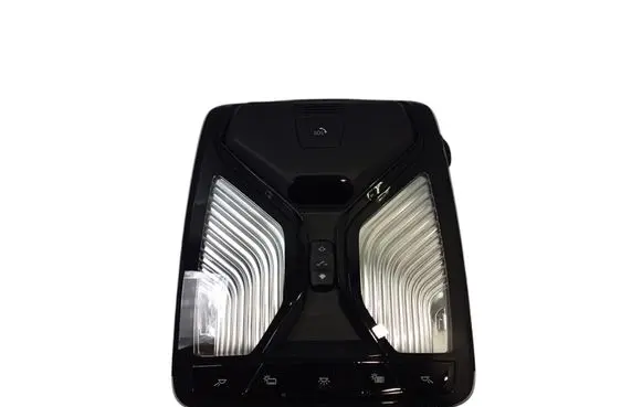 BMW X7 G07 Front seat light 61315B32498