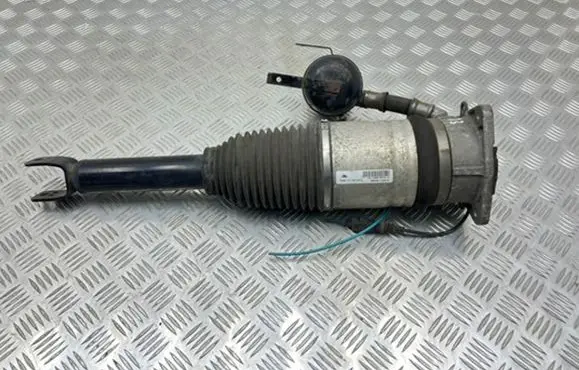 Audi A8 S8 D3 4E Rear shock absorber/damper 4E0616002N 169ATE0265EFAC4