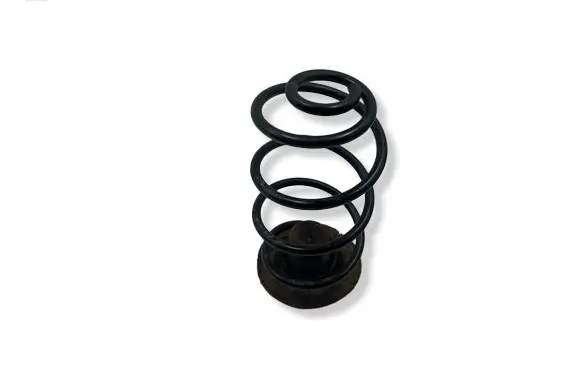 Opel Astra G Rear coil spring 