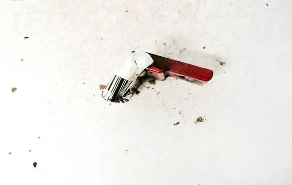 Audi A2 Front door upper hinge 