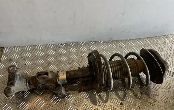 Mercedes-Benz C W204 Front shock absorber with coil spring 22196019