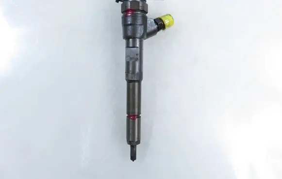 Dacia Dokker Fuel injector 8201108033 0445110485