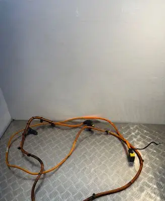 Other wiring loom