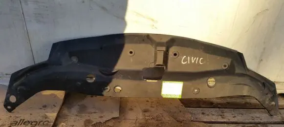 Engine bonnet/hood lock trim molding
