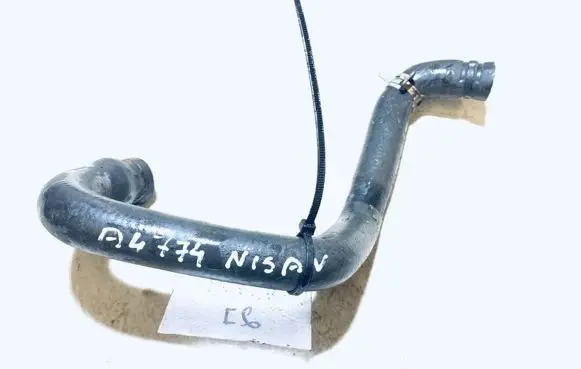 Nissan Almera Tino Engine coolant pipe/hose